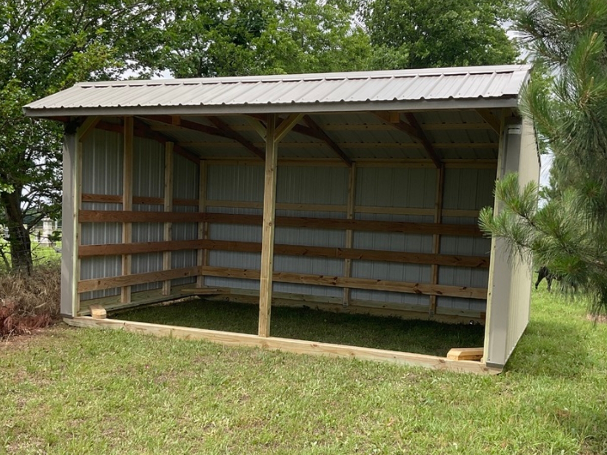10×16 Metal Horse Barn w/o Tack Room in Lexington, OK