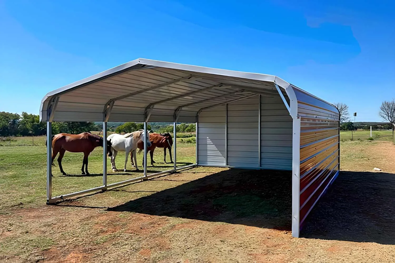 Loafing Sheds
